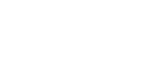 vidsys-logowhite-old