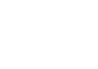 global village