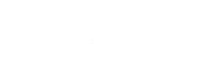 Dubai holding